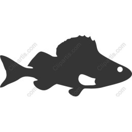 Stylized Fish