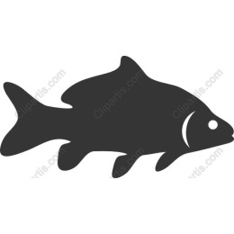 Stylized Aquatic Fish