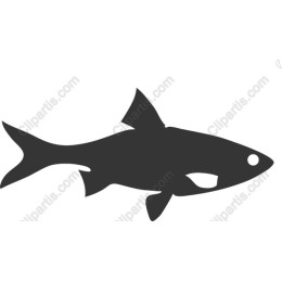 Minimalist Fish