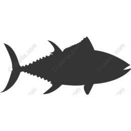 Tuna Fish