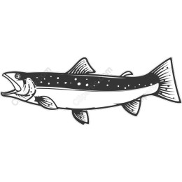 Majestic Trout