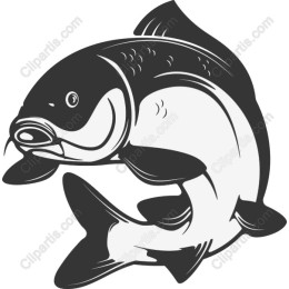 Dynamic Fish