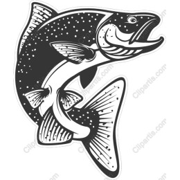 Dynamic Salmon