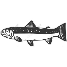 Trout
