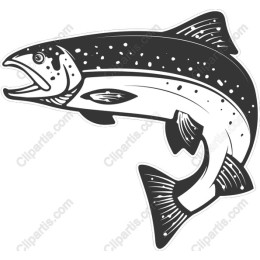 Trout Fish