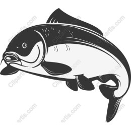 Majestic Fish
