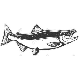 Stunning Salmon in Black & White