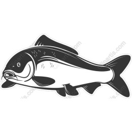 Elegant Black and White Fish