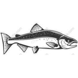 Trout