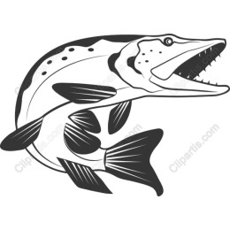 Fierce Predator Fish