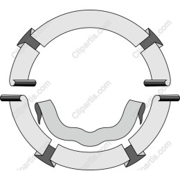 Circular Ribbon