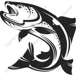 Trout Fish in and