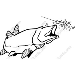 Ferocious Fish