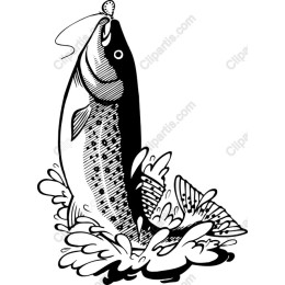 Dynamic Leaping Fish