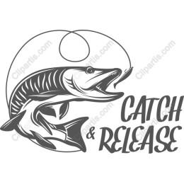 Catch & Release