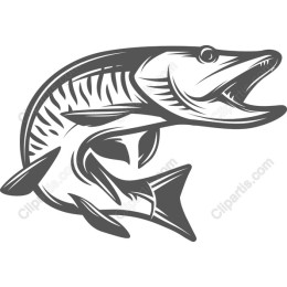 Fierce Fish work