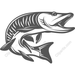Fierce Fish