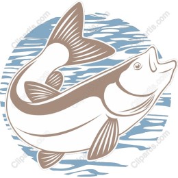 Leaping Fish