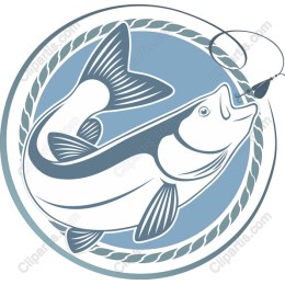 Catch of the Day: Fish
