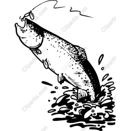 Leaping Trout