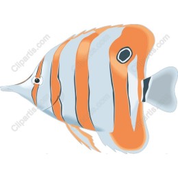 Vibrant Butterfly Fish