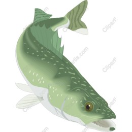 Lifelike Fish