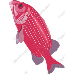 Vibrant Red Tropical Fish