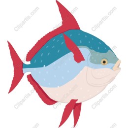 Colorful Fish