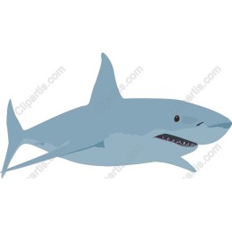 Shark