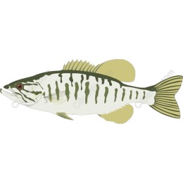 Largemouth Bass