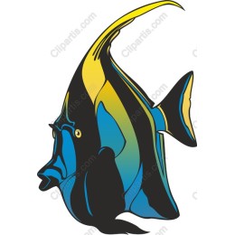 Vibrant Colorful Fish
