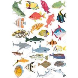 Vibrant Fish Set - Bundle