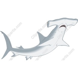 Hammerhead Shark