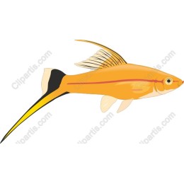 Vibrant Yellow Fish