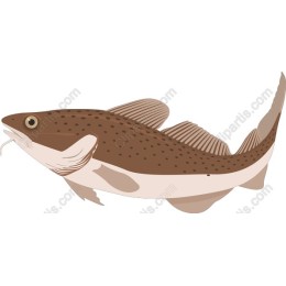 Cod Fish