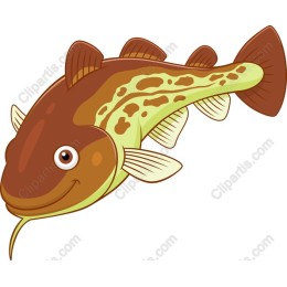 Playful Catfish