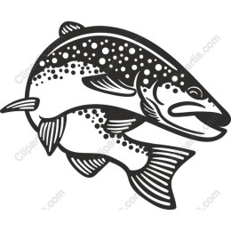 Trout
