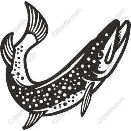 Pike Fish