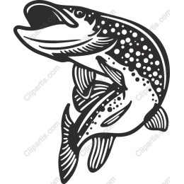 Leaping Trout