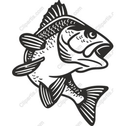 Dynamic Bass