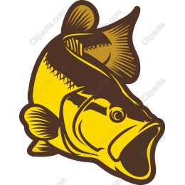 Dynamic Bass Fish