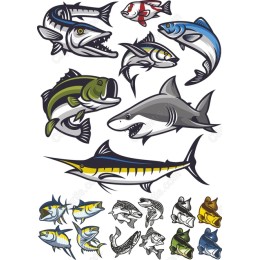 Premium Fish Clipart Set
