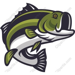 Vibrant Bass Fish
