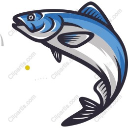 Vibrant Leaping Fish