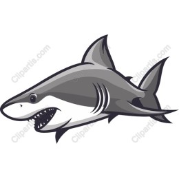 Dynamic Shark
