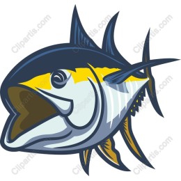 Vibrant Tuna Fish
