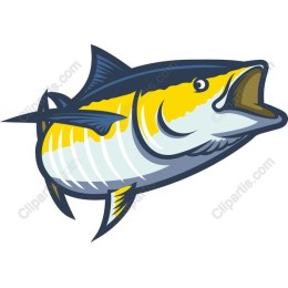 Vibrant Tuna Fish