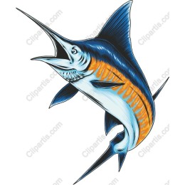 Majestic Swordfish