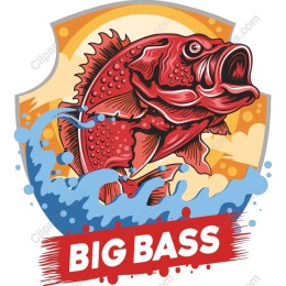 Big Bass