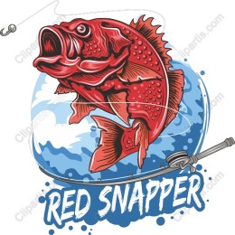 Red Snapper for Fishing